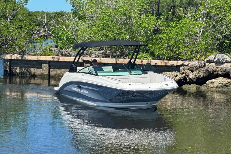 Slide: The Image of Sea Ray SDX 250 Outboard 2022 - 2