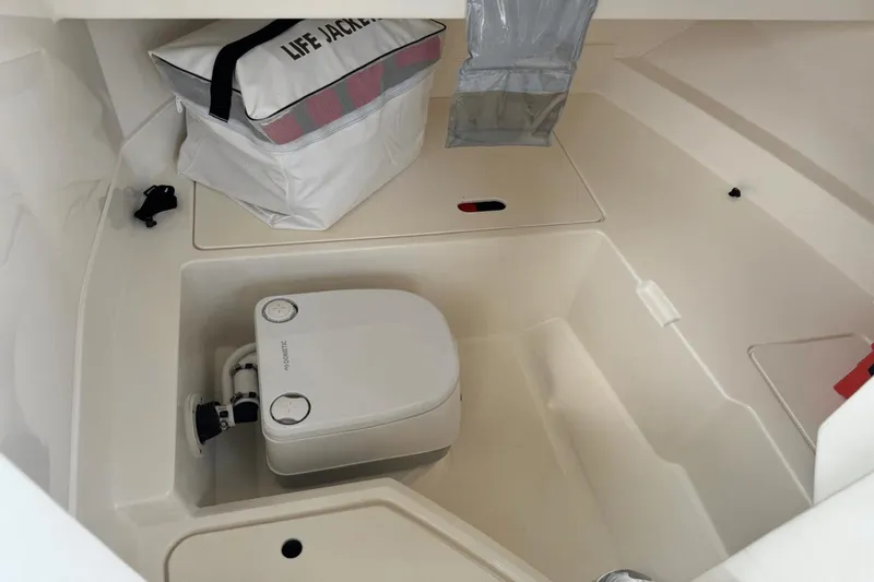 Slide: The Image of Sea Ray SDX 250 Outboard 2022 - 22