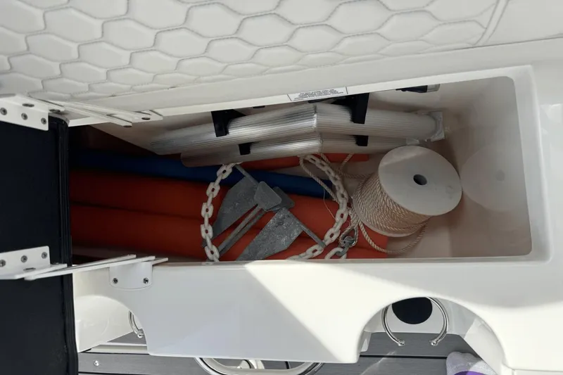 Slide: The Image of Sea Ray SDX 250 Outboard 2022 - 27