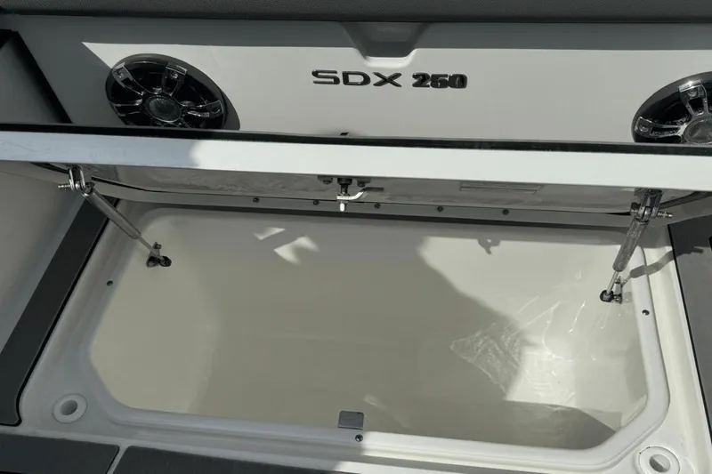 Slide: The Image of Sea Ray SDX 250 Outboard 2022 - 30