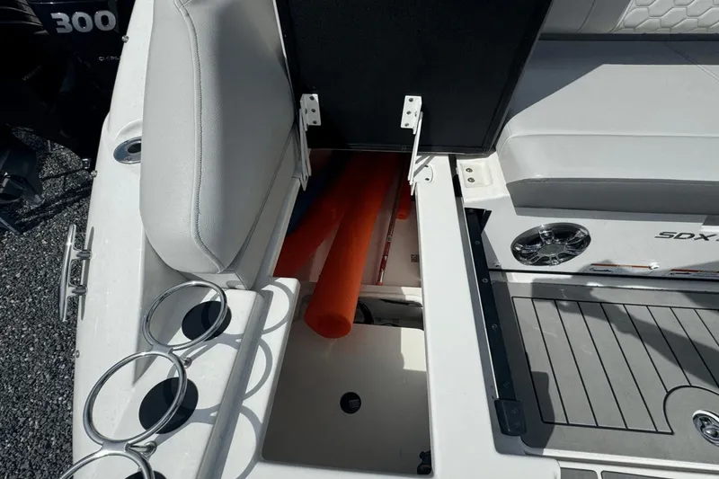 Slide: The Image of Sea Ray SDX 250 Outboard 2022 - 31