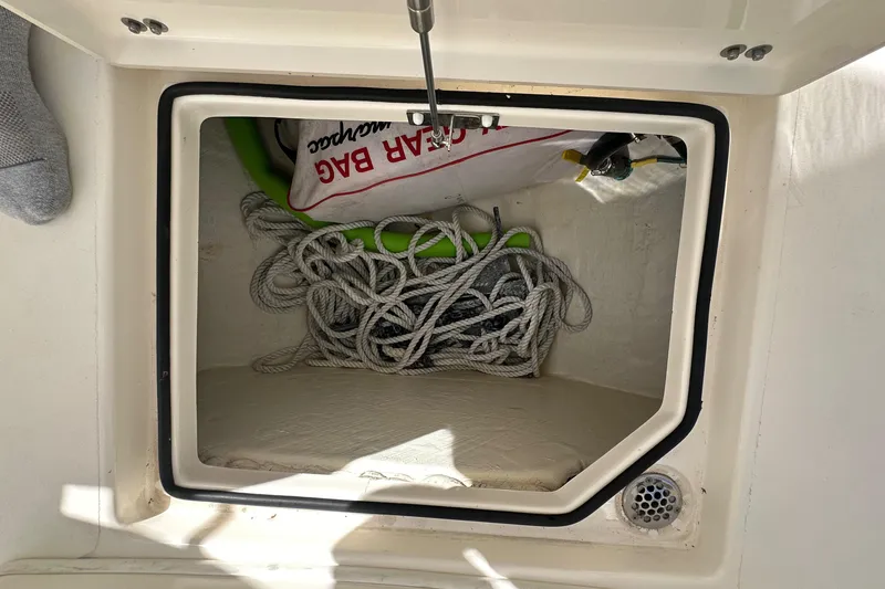 Slide: The Image of Cobia 296CC 2016 - 53