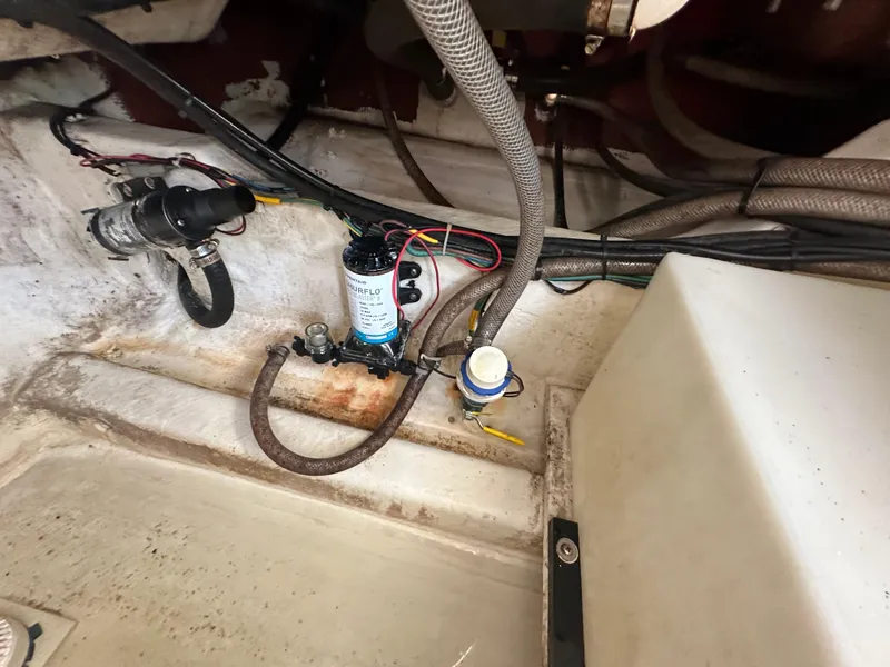 Slide: The Image of Cobia 296CC 2016 - 65