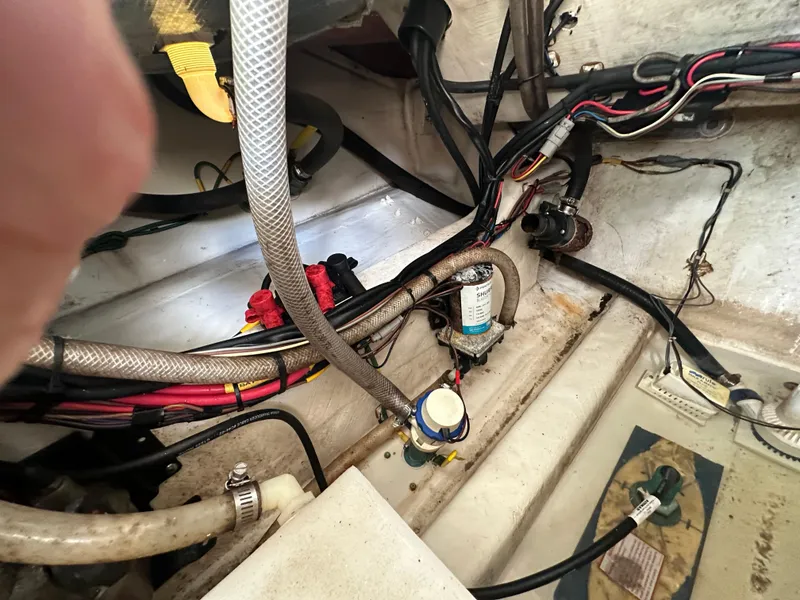 Slide: The Image of Cobia 296CC 2016 - 67