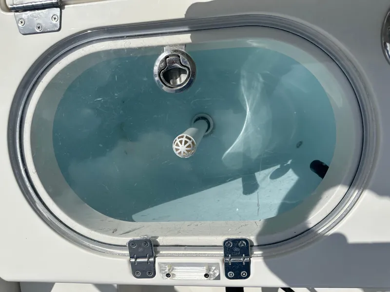 Slide: The Image of Cobia 296CC 2016 - 77