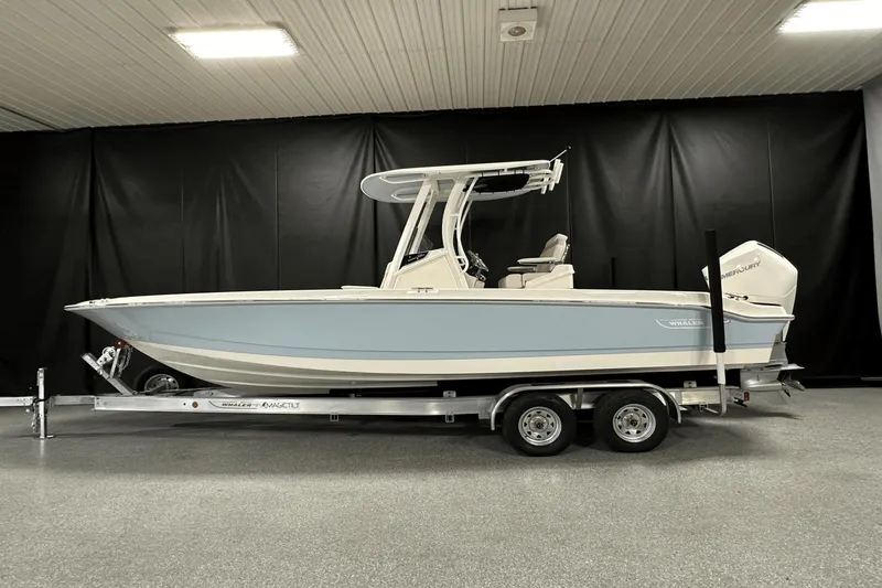 Slide: The Image of Boston Whaler 250 Dauntless 2025 - 0