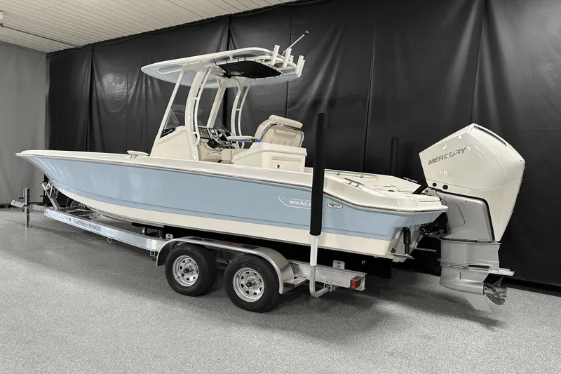 Slide: The Image of Boston Whaler 250 Dauntless 2025 - 2