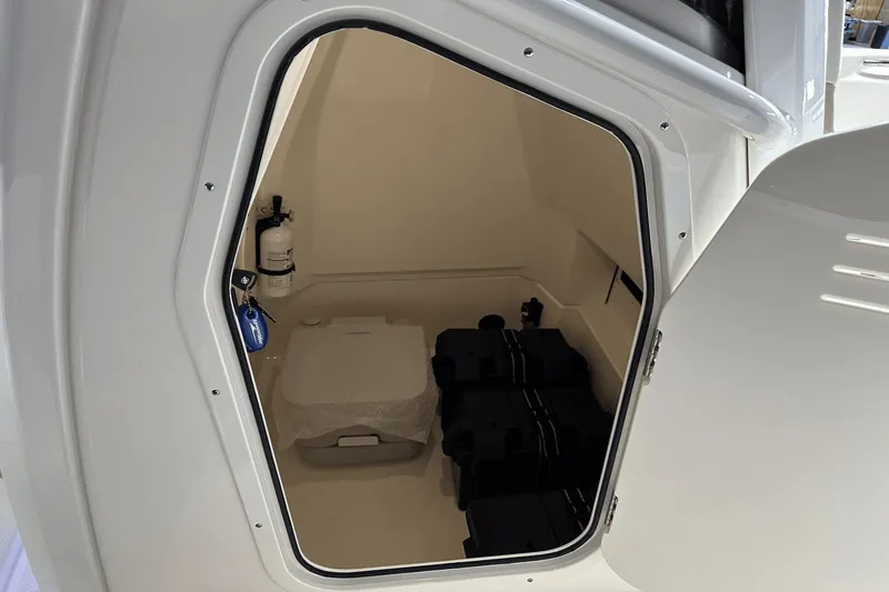 Slide: The Image of Boston Whaler 250 Dauntless 2025 - 7