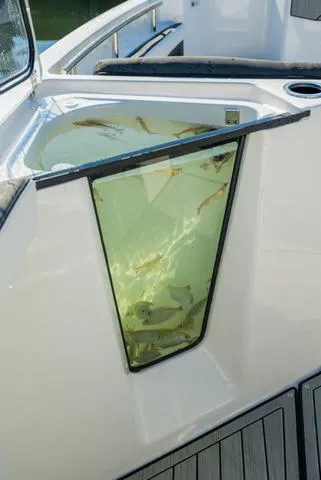 Slide: The Image of 2024 Yamaha Boats 255 FSH Sport H livewell with fish. - 14