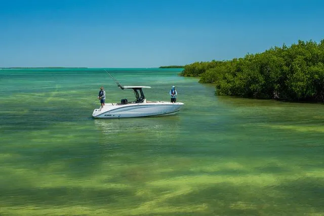 Slide: The Image of 2024 Yamaha Boats 255 FSH Sport H in clear turquoise waters near lush green mangroves. - 22