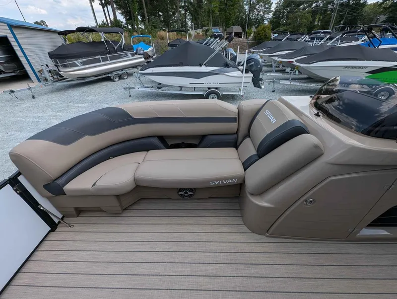 Slide: The Image of Sylvan L5 DLZ 2025 - 6