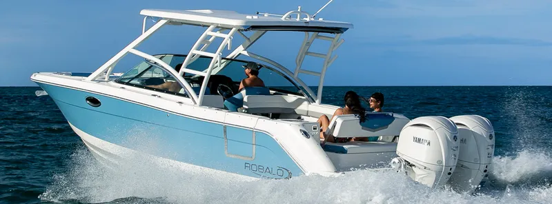 The Image of Robalo R317 2027 - 0