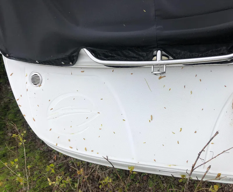 Slide: The Image of 2007 Crownline 240 EX boat with cover, partially visible, surrounded by grass and leaves. - 12