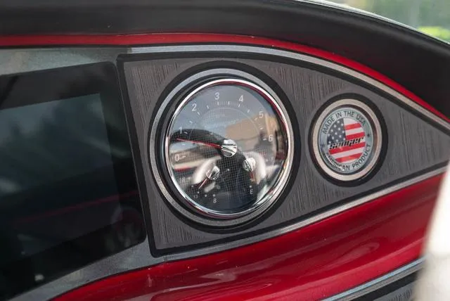 Slide: The Image of Sanger V237 SX 2024 - 18