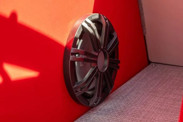 Slide: The Image of Sanger V237 SX 2024 - 21