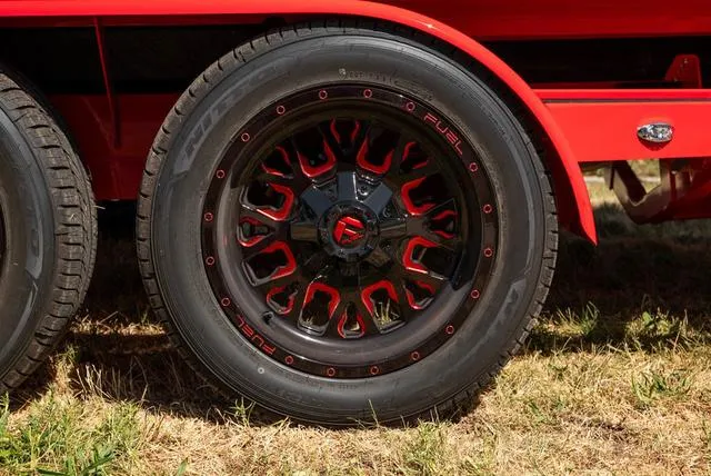 Slide: The Image of Sanger V237 SX 2024 - 24