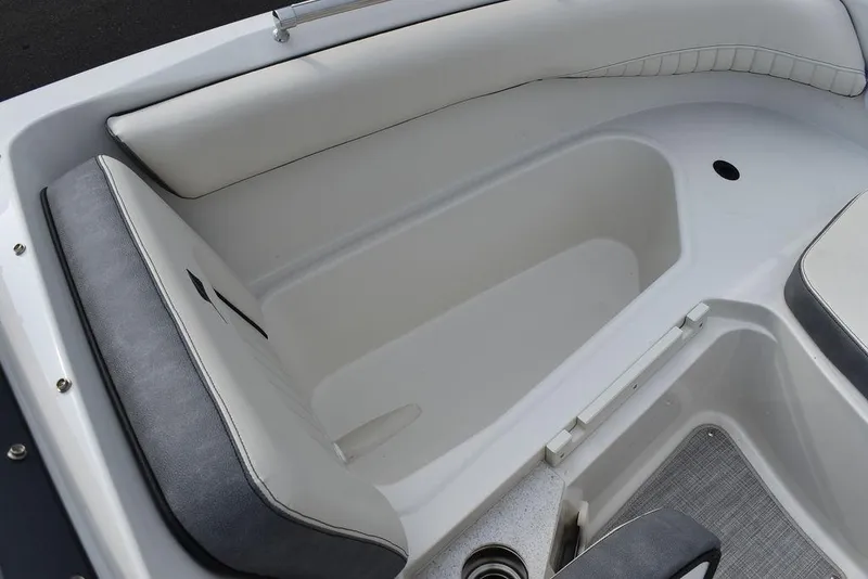 Slide: The Image of Stingray 201 DC 2024 - 51