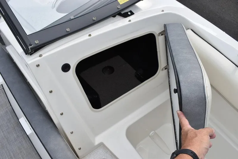 Slide: The Image of Stingray 201 DC 2024 - 52