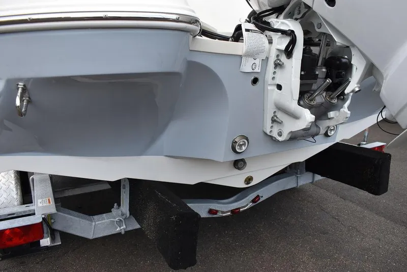 Slide: The Image of Stingray 201 DC 2024 - 54