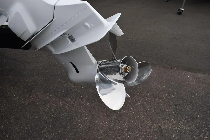 Slide: The Image of Stingray 201 DC 2024 - 55