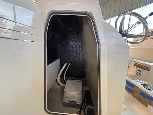 Slide: The Image of Stingray 173 CC 2024 - 15