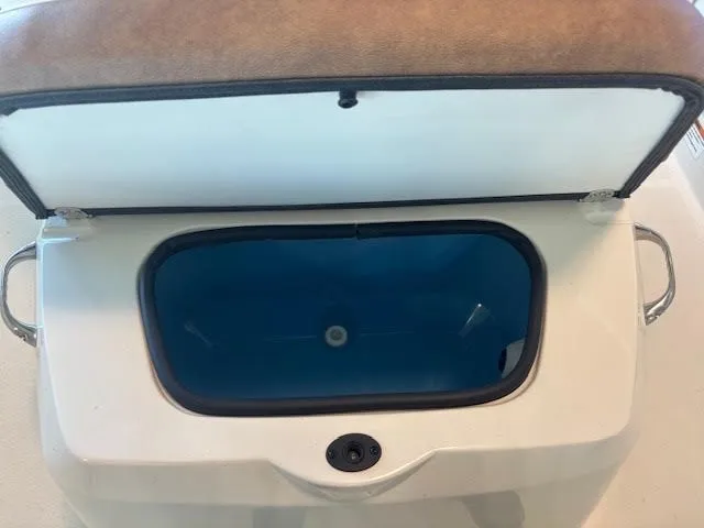 Slide: The Image of Stingray 173 CC 2024 - 17