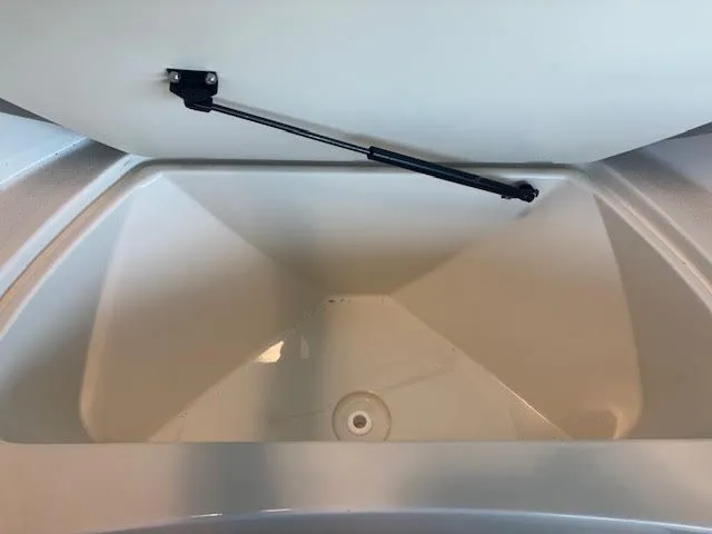 Slide: The Image of Stingray 173 CC 2024 - 19