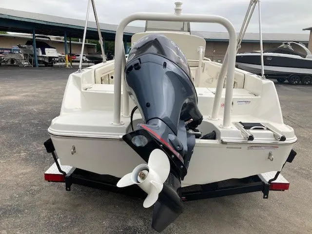 Slide: The Image of Stingray 173 CC 2024 - 8