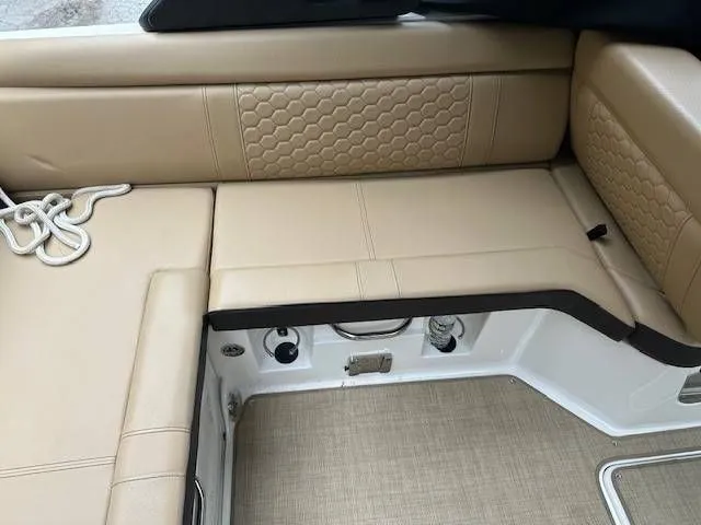 Slide: The Image of Sea Ray 250SDX 2022 - 10