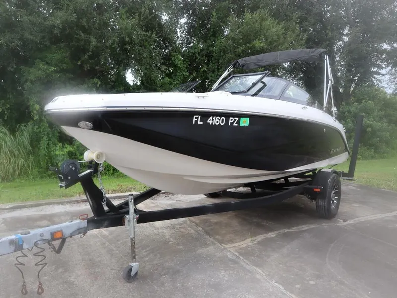 The Image of Scarab 195 2015 - 1