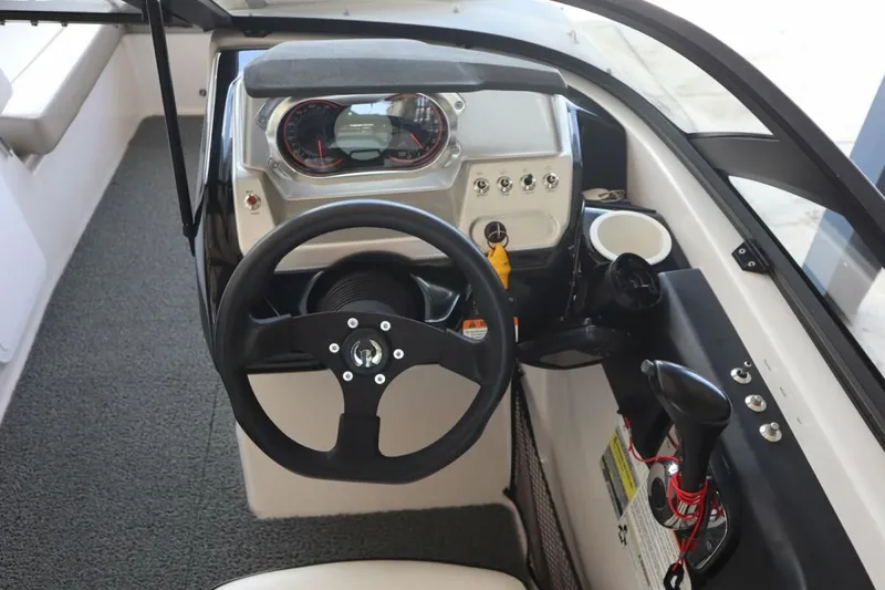 Slide: The Image of Scarab 195 2015 - 11