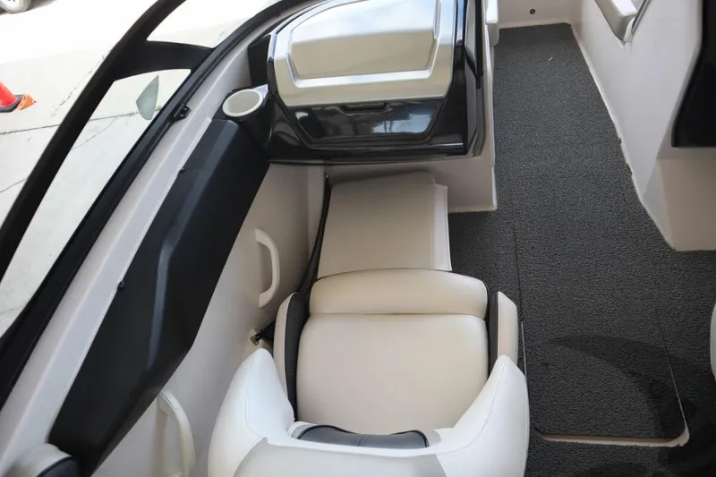 Slide: The Image of Scarab 195 2015 - 13