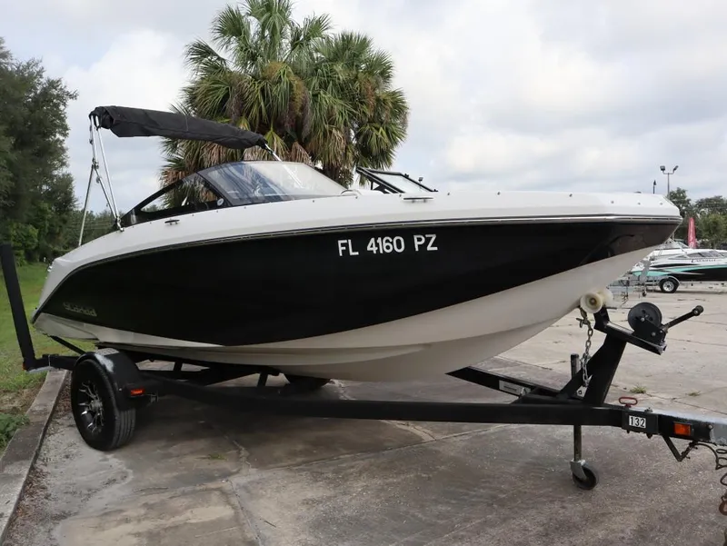 Slide: The Image of Scarab 195 2015 - 3