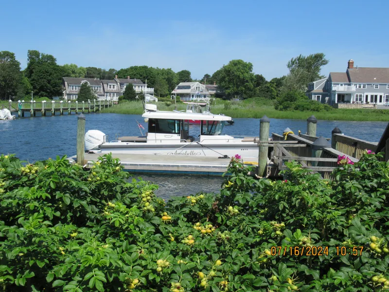Slide: The Image of Axopar Mark II 2018 boat docked near waterfront homes, surrounded by lush greenery. - 12