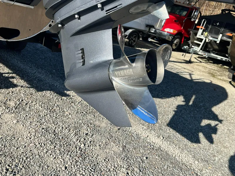 Slide: The Image of Sylvan L-3 CLZ Tritoon 2025 - 37