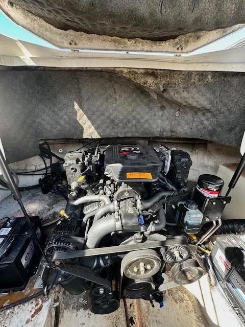 Slide: The Image of Chaparral Sunesta 254 2006 - 11