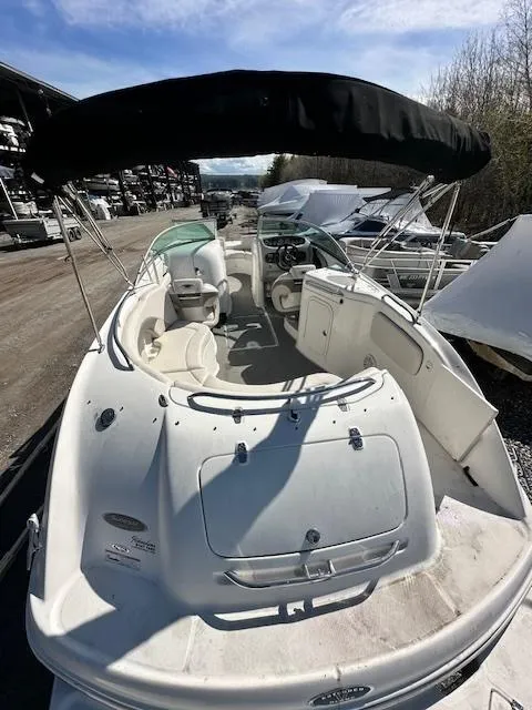 Slide: The Image of Chaparral Sunesta 254 2006 - 9