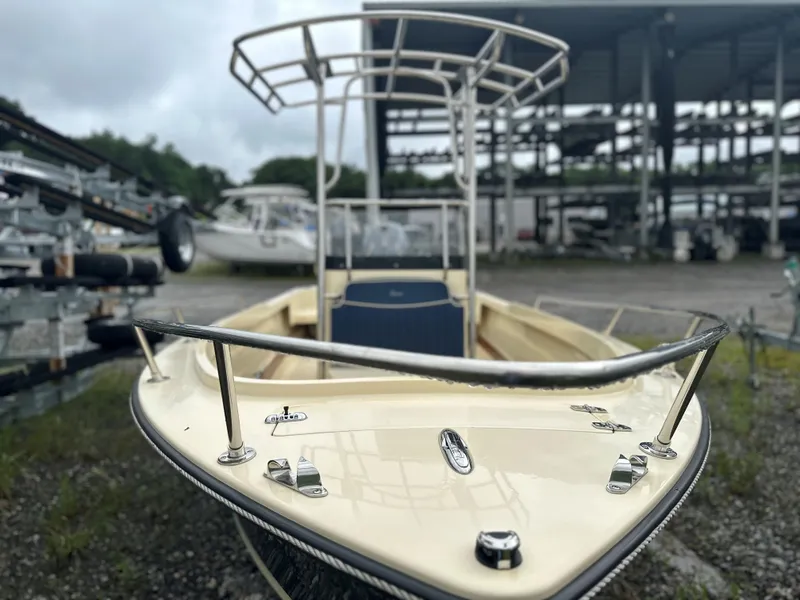 Slide: The Image of Rossiter R17 CC 2021 - 21