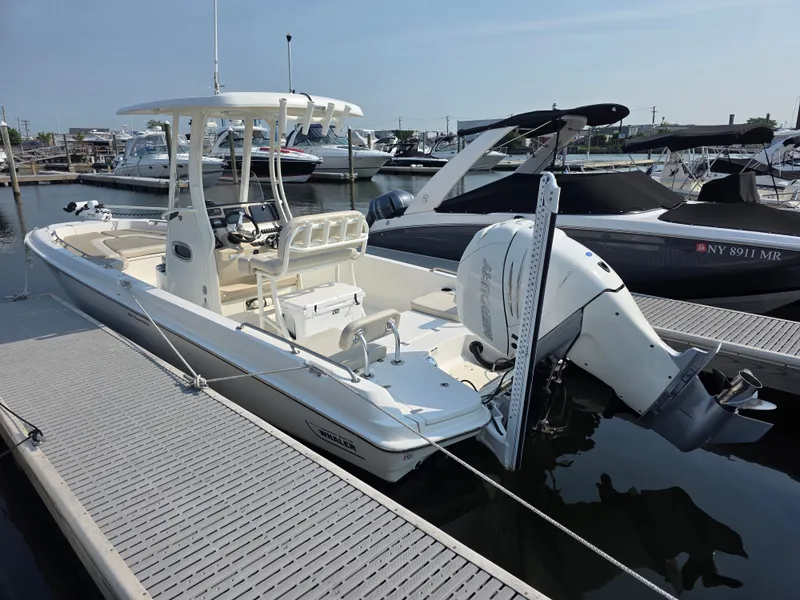 The Image of Boston Whaler 240 Dauntless 2018 - 0