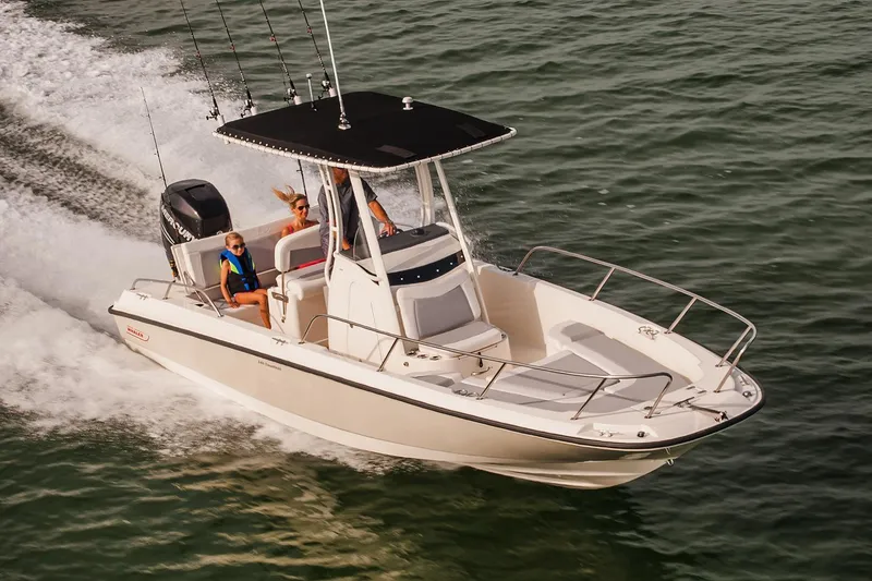 Slide: The Image of Boston Whaler 240 Dauntless 2018 - 75
