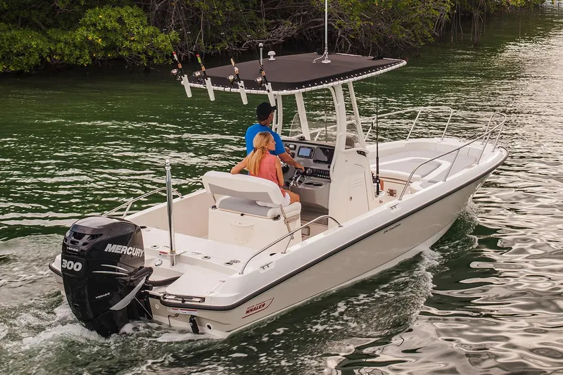 Slide: The Image of Boston Whaler 240 Dauntless 2018 - 77