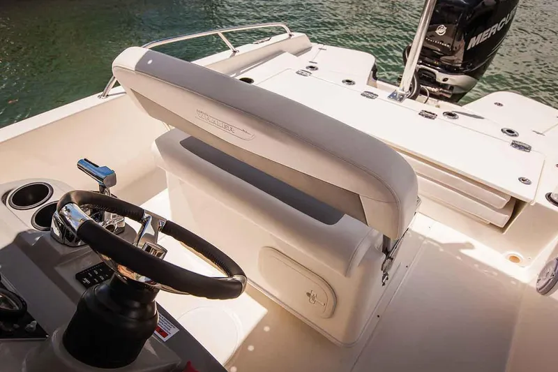 Slide: The Image of Boston Whaler 240 Dauntless 2018 - 84