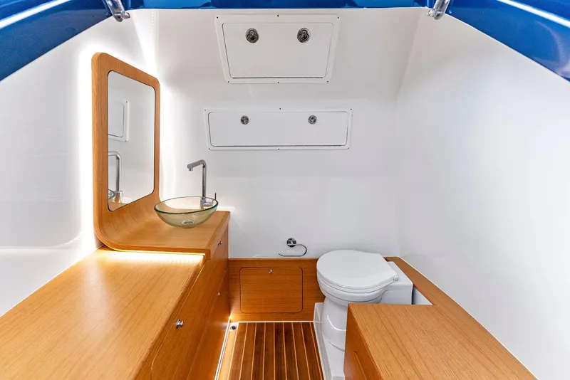 Slide: The Image of Head - 87