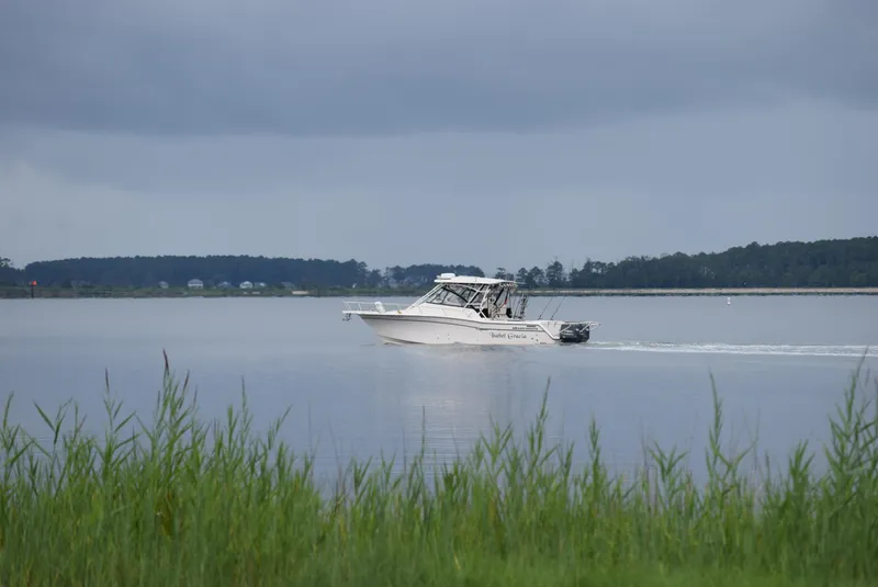 Slide: The Image of Grady-White Express 330 2016 - 26