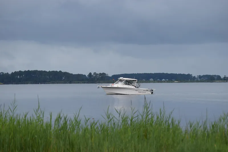 Slide: The Image of Grady-White Express 330 2016 - 27