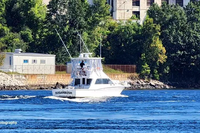 Slide: The Image of 2002 Cabo 35 Flybridge boat named Sugarbush cruising on a river near a forested shoreline. - 10