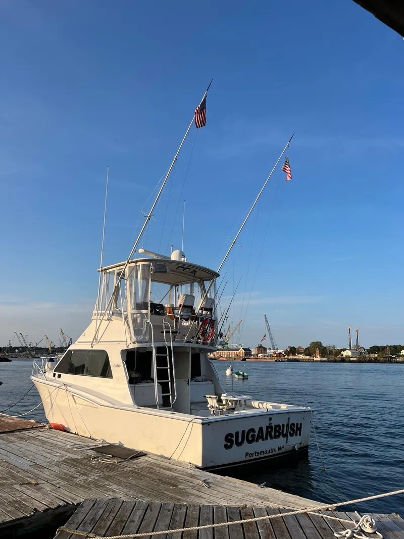 Slide: The Image of 2002 Cabo 35 Flybridge boat docked at a marina with clear blue sky. - 35