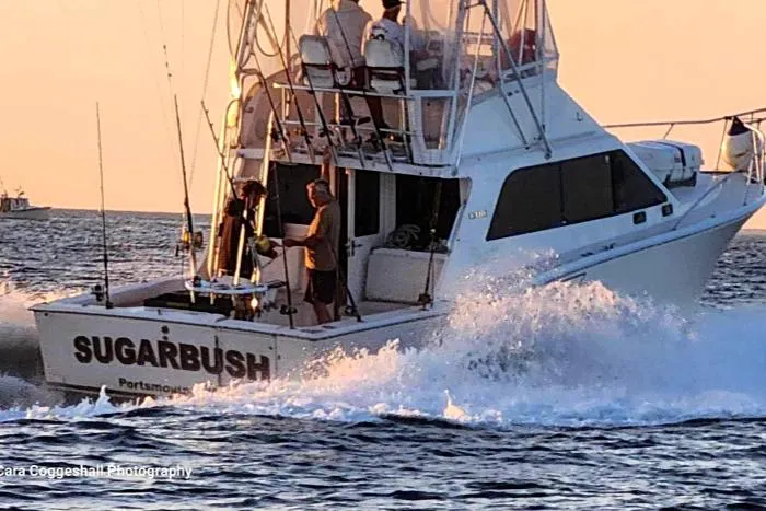 Slide: The Image of 2002 Cabo 35 Flybridge boat Sugarbush cruising at sunset. - 8