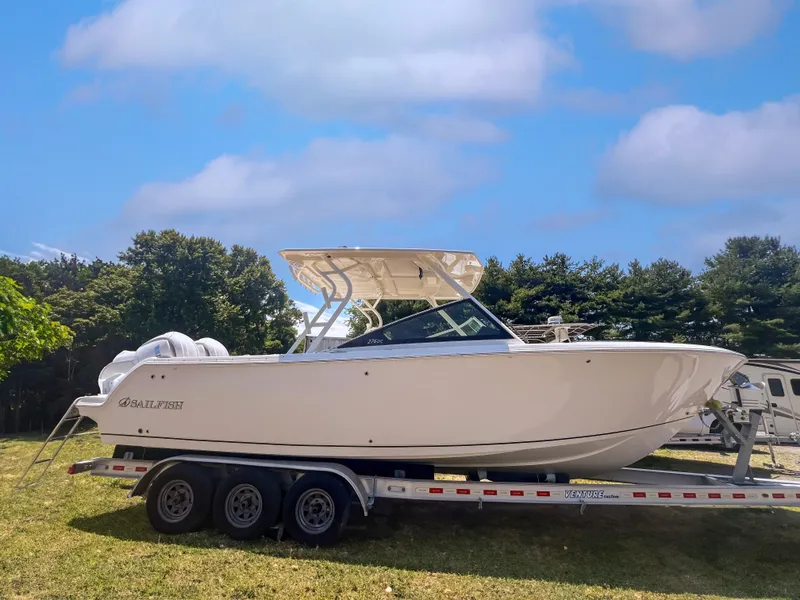 Slide: The Image of Sailfish 276 DC 2025 - 32