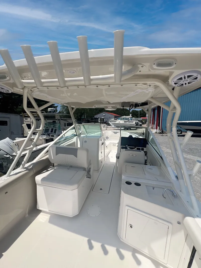 Slide: The Image of Sailfish 276 DC 2025 - 6